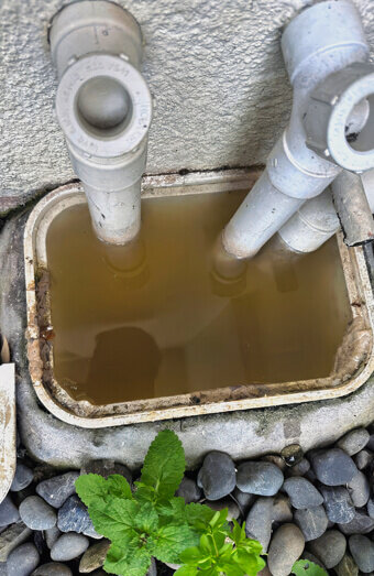 https://plumberattadale.com.au/uploads/2025/06/blocked-drains-912576.jpg